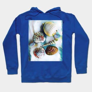 Seashells Hoodie